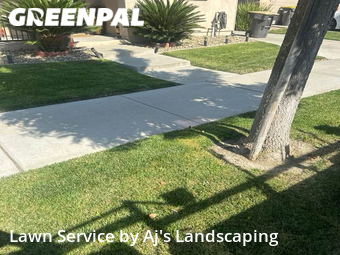 Grass Cut nearby Lathrop, CA, 