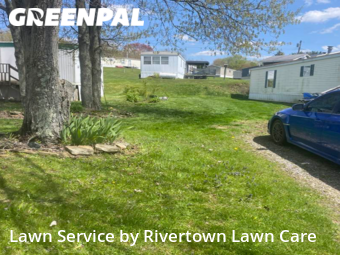 Grass Cut nearby Rochester, PA, 