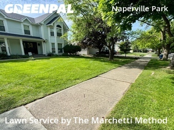 Yard Cutting nearby Naperville, IL, 
