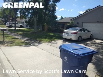 Lawn Care nearby Palm Harbor, FL, 