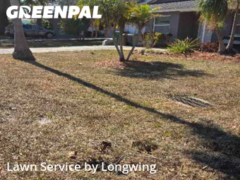 Lawn Cutin Clearwater,33764,Lawn Service by Longwing, work completed in Feb , 2026