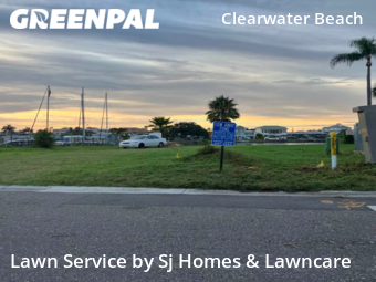 Lawn Mow nearby Clearwater, FL, 