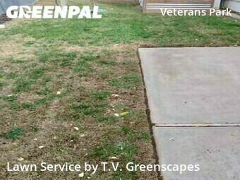 Grass Cutting nearby Boise, ID, 