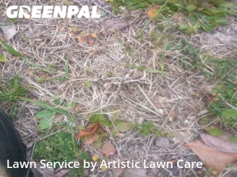 Lawn Care Service nearby Augusta, GA, 