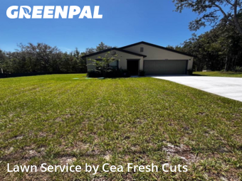 Grass Care in Citrus Springs, 34434, Backyard Mowing by Cea Fresh Cuts, work completed in Nov , 2025