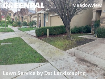 Yard Cutting in Sacramento, 95822, Lawn Mowing by Dst Landscaping, work completed in 29 Dec, 2025 