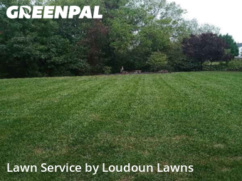 Yard Upkeep in Ashburn, 20147, Mowing Services by Loudoun Lawns, work completed in Nov , 2025