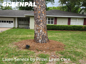 Grass Cut nearby Houston, TX, 