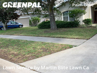 Lawn Mowing Service nearby Wesley Chapel, FL, 