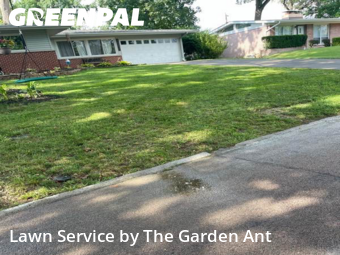 Lawn Care nearby St. Louis, MO, 