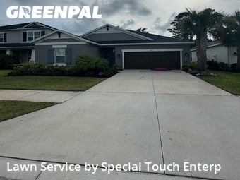 Lawn Cut nearby Palm Harbor, FL, 