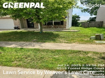 Yard Cutting nearby Indianapolis, IN, 