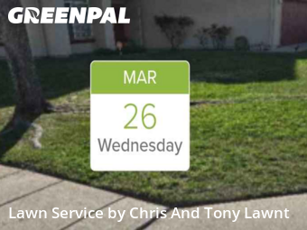 Lawn Cut nearby Stockton, CA, 