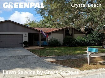 Lawn Cutin Palm Harbor,34683,Lawn Care by Grass Sargent, work completed in Jun , 2026