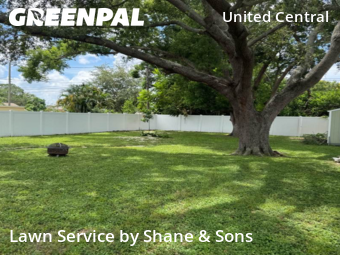 Yard Cutting nearby St. Petersburg, FL, 