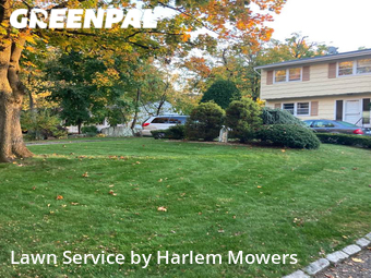 Landscaping Maintenance in New Rochelle, 10801, Yard Mowing by Harlem Mowers, work completed in Dec , 2025