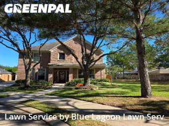 Lawn Maintenancein Katy,77494,Lawn Care Service by Blue Lagoon Lawn Serv, work completed in Nov , 2025