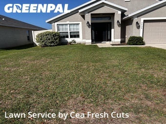 Lawn Cutting nearby Ocala, FL, 