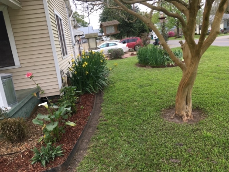 The Dependable Duo Lawn Care Services in Youngsville, LA