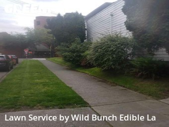 Lawn Care Service nearby Seattle, WA, 