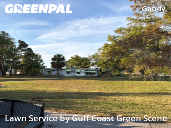 Lawn Mowing Service nearby St. Petersburg, FL, 