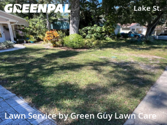 Grass Cutting nearby Palm Harbor, FL, 