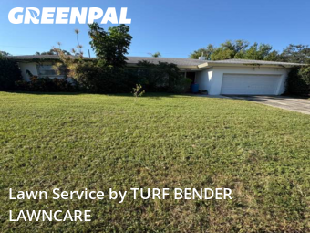 Lawn Cutin Dunedin,34698,Yard Cutting by TURF BENDER LAWNCARE, work completed in Nov , 2025