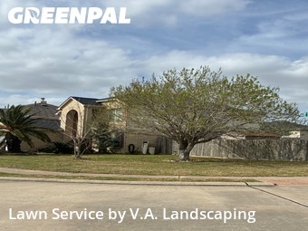 Lawn mowed in Pearland, 77584