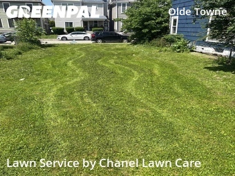 Lawn Care nearby Columbus, OH, 