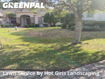 Lawn Mow nearby Spring Hill, FL, 