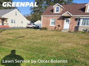 Turf Services in Binghamton, 13901, Lawn Upkeep by Oscar Bolanos, work completed in Nov , 2025