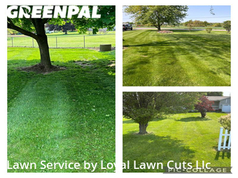 Lawn Mow nearby Vermilion, OH, 