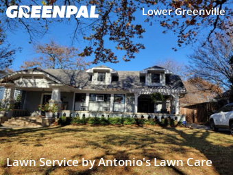 Lawn Cuttingin Dallas,75206,Lawn Mowing Service by Antonio's Lawn Care, work completed in Feb , 2026