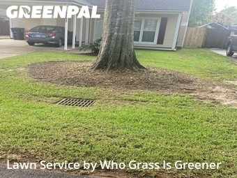Grass Cut nearby Old Jefferson, LA, 