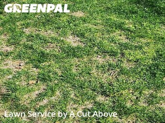 Grass Cut nearby Smyrna, TN, 