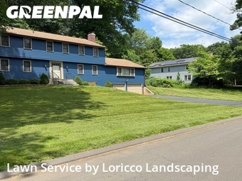 Lawn mowed in Bloomfield, 6002