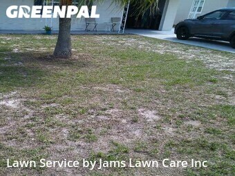 Grass Cut nearby Holiday, FL, 