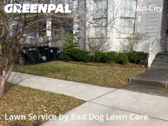 Lawn Mow nearby New Orleans, LA, 