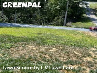 Lawn mowed in Fredericksburg, 22405