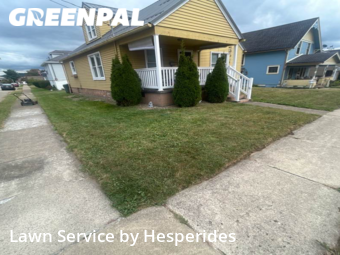 Grass Cutting nearby Springdale, PA, 