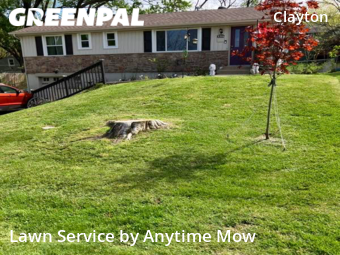 Grass Cut nearby Kansas City, MO, 