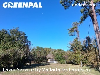 Lawn Mowingin Baytown,77521,Yard Mowing by Valladares Landscap, work completed in Jan , 2026