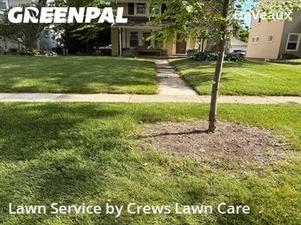 Lawn mowed in Toledo, 43613