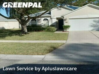Grass Cut nearby Orlando, FL, 