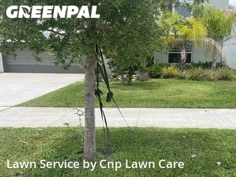 Yard Cutting nearby Riverview, FL, 