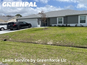 Grass Cut nearby Port St. Lucie, FL, 