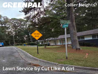 Lawn Cutting nearby Atlanta, GA, 