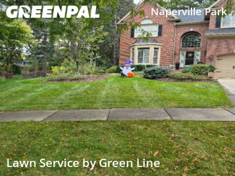 Lawn Mow nearby Naperville, IL, 