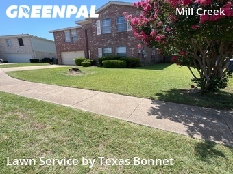 Local Lawn And Landscape Maintenance Services Near Me In Garland,75040,Landscaping by Texas Bonnet , work completed in Jul , 2026