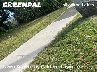 Lawn Cuttingin Hollywood,33019,Lawn Care Service by Caidens Lawncare , work completed in Jun , 2026